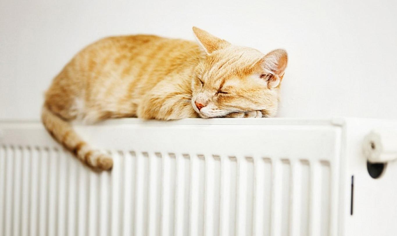 Жилые дома Киева начинают подключать к теплоснабжению — КГГА