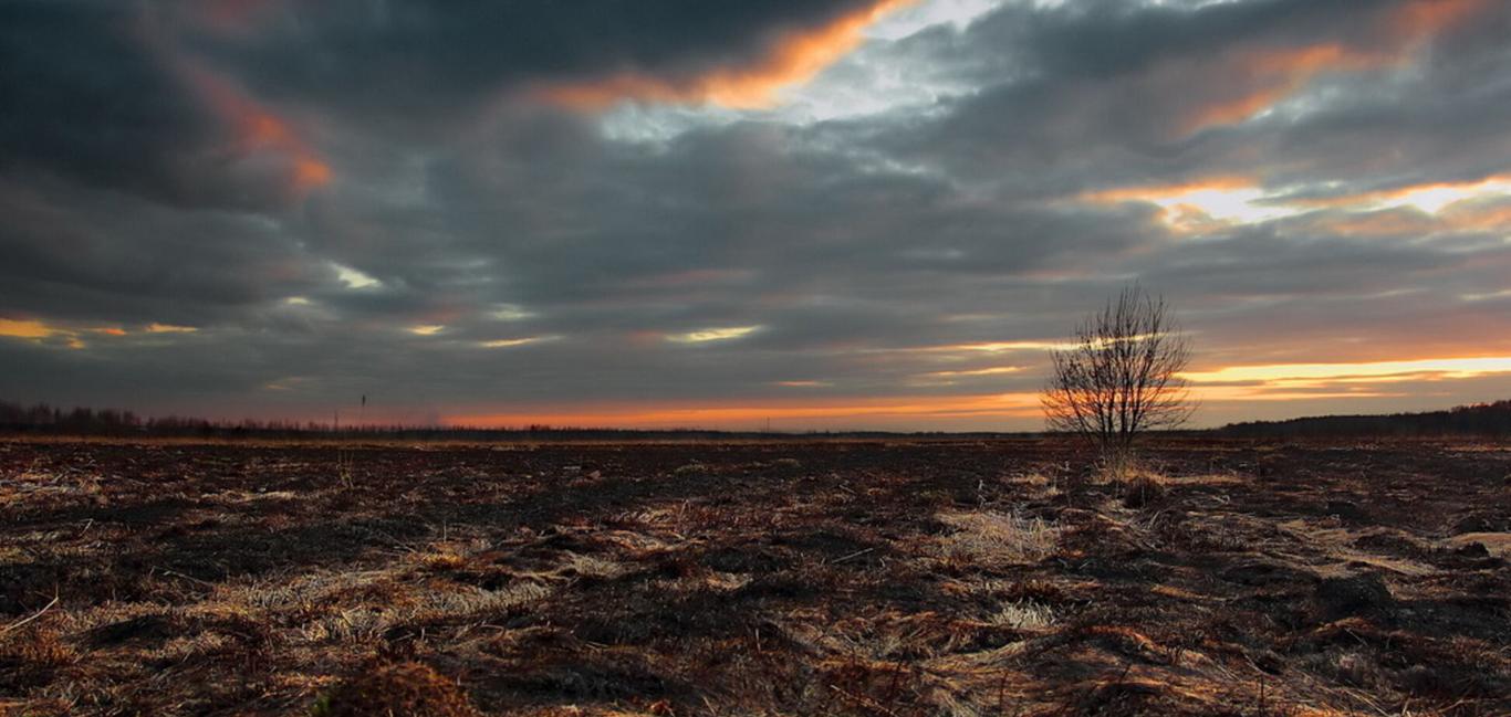 Обстріли на Донбасі як отрута для землі і людей: Громадське радіо створило радіофільм «Токсичний врожай»