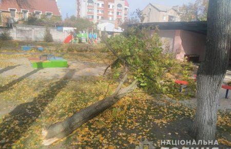 У дитсадку Кременчука на двох дітей впало дерево, їх госпіталізували