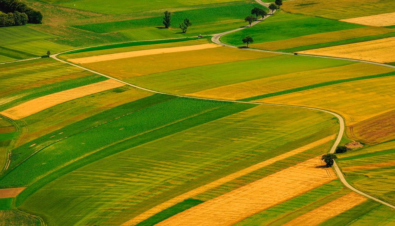 У государства менее 1 млн га сельскохозяйственных земель — Соболев