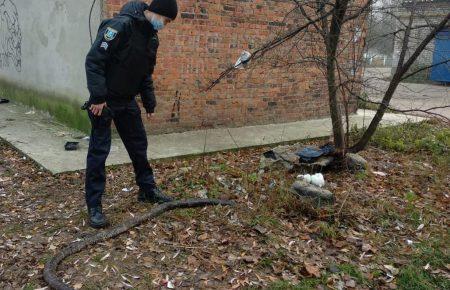 На Сумщині жінка знайшла на вулиці пітона завдовжки понад 3 метри
