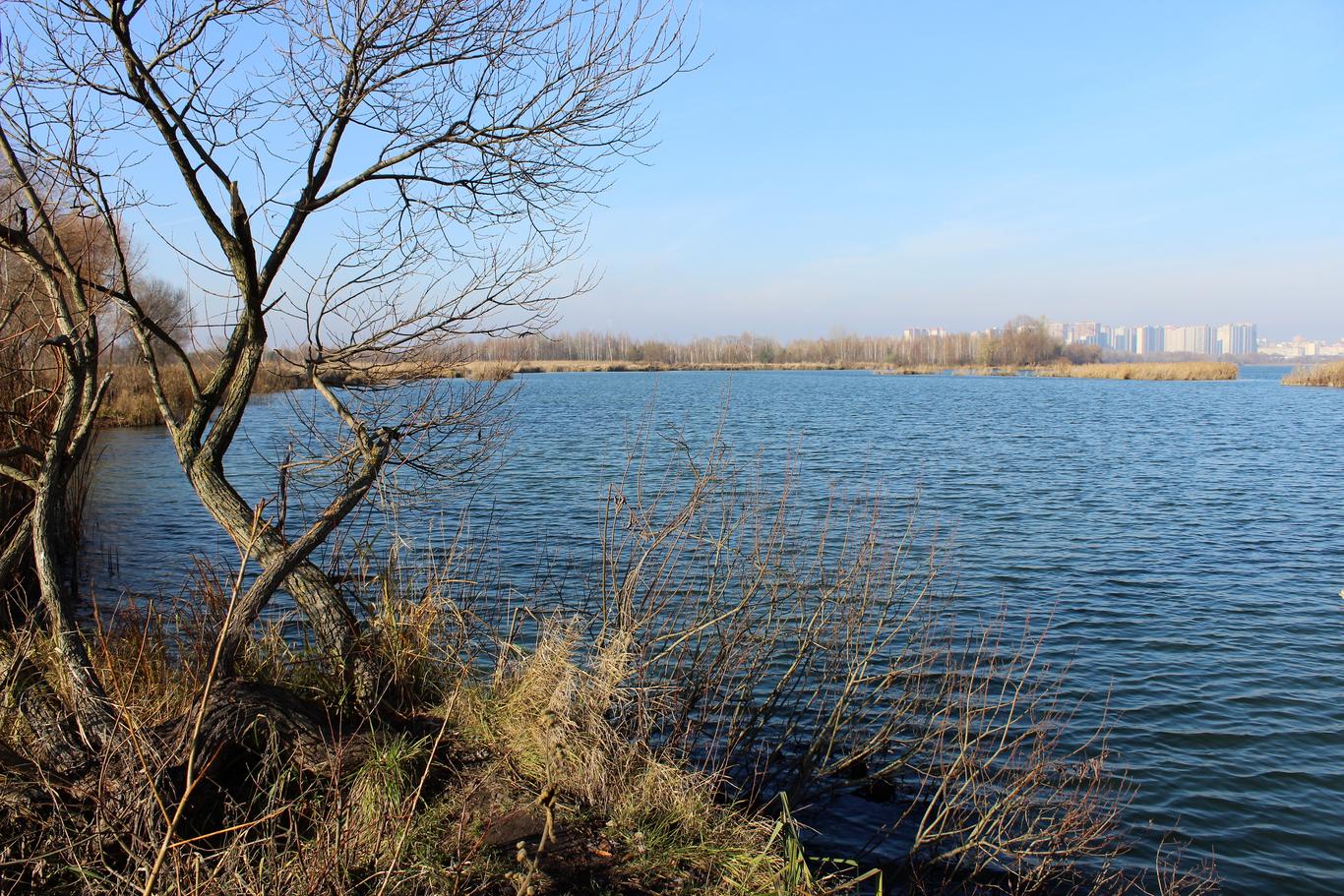 Осокорківські луки: боротьба активістів із забудовниками зеленої зони триває 6-й рік