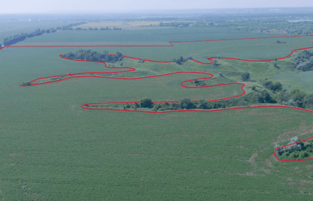 «Черные археологи» на Киевщине перекопали городище Ольшаница