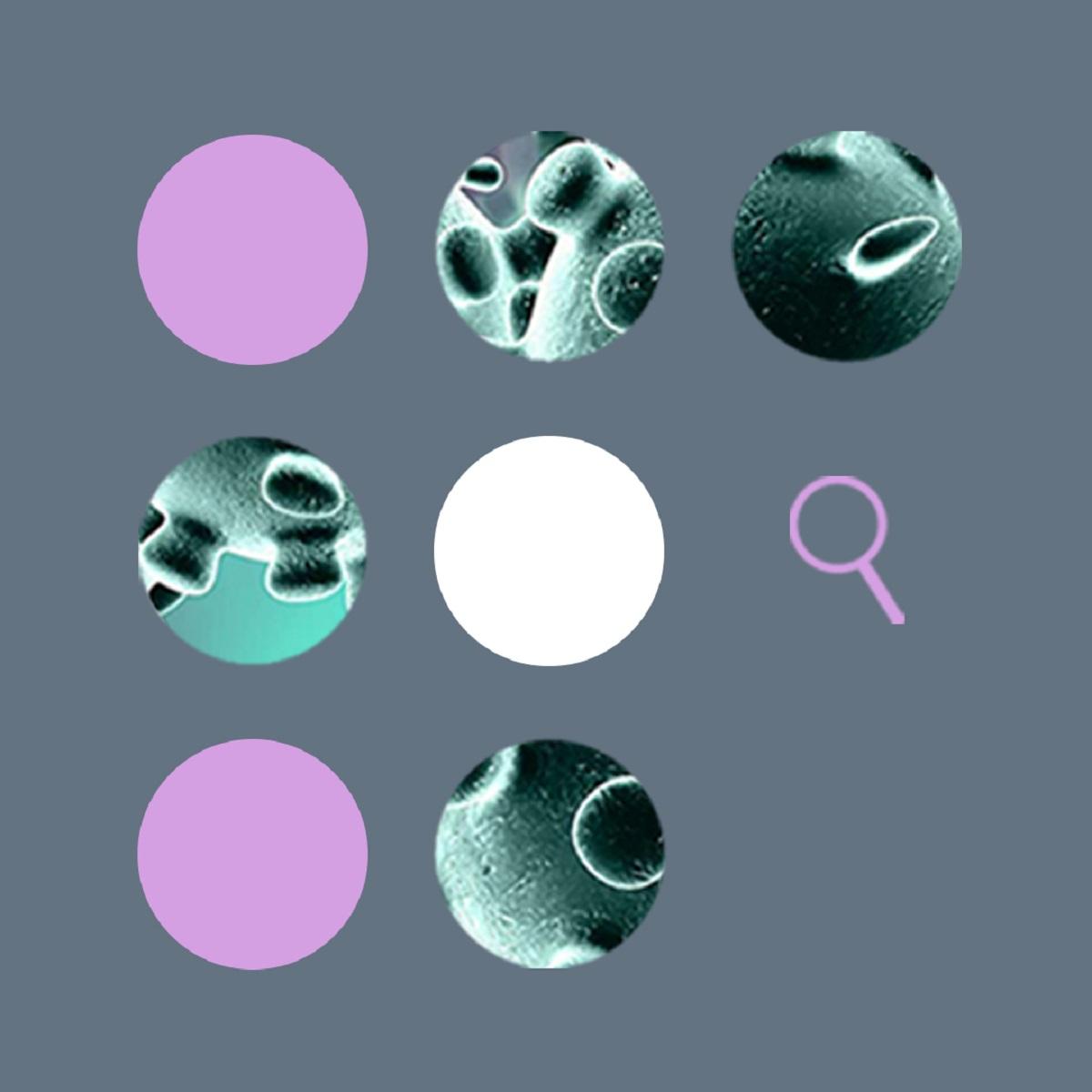 Тест на антифейк