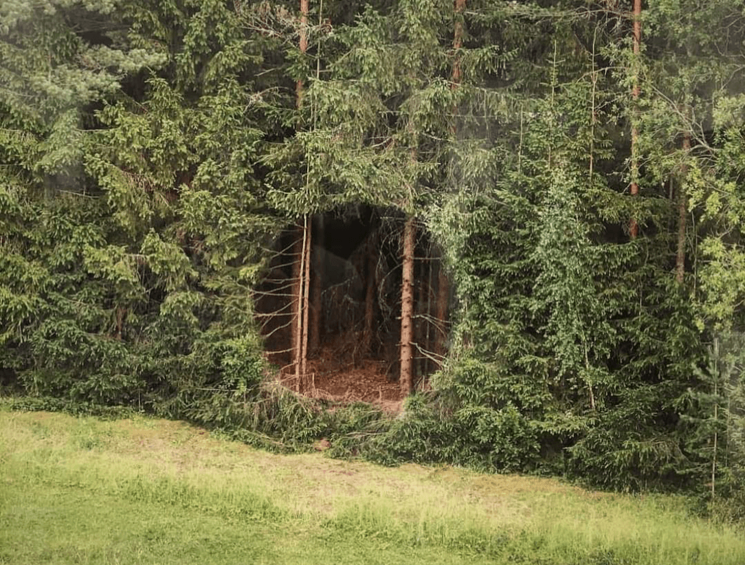 Нора хоббита: фотография финского художника стала хитом в соцсетях (фото)