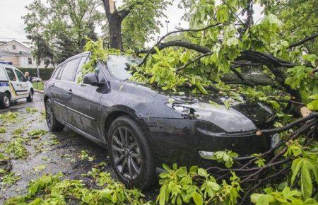 Як отримати відшкодування, якщо на авто впало дерево або ви травмувалися через ожеледицю?