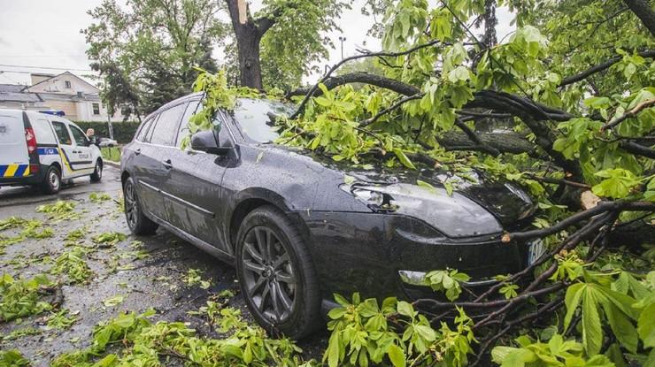 Як отримати відшкодування, якщо на авто впало дерево або ви травмувалися через ожеледицю?