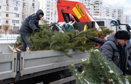 В столице демонтируют незаконные елочные базары: уже убрали 9 локаций (фото)