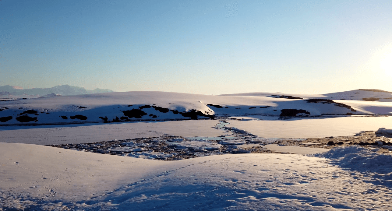 Украинские полярники зафиксировали последствия извержения вулкана в Тихом океане (видео)