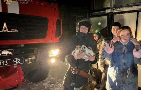 На Закарпатье спасатель вынес из горящего дома 4-х щенков (фото)