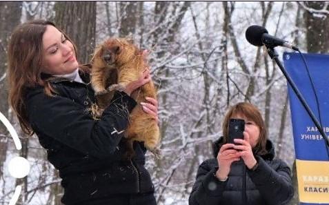 Весна будет ранняя и нестабильная — предсказание харьковского сурка Тимки ІІІ