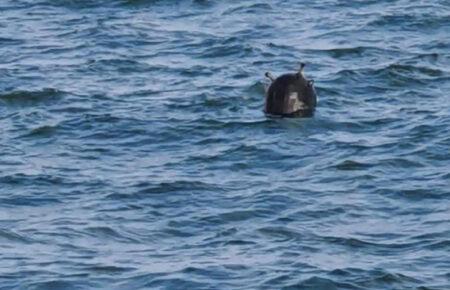 У Чорному морі на дрейфуючій міні ледь не підірвався корабель ВМС Румунії