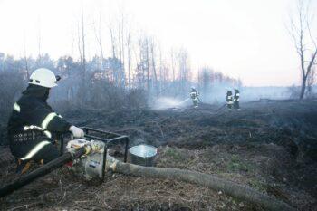 The scale of the crimes of the russian occupiers against the environment is shocking – ecologist