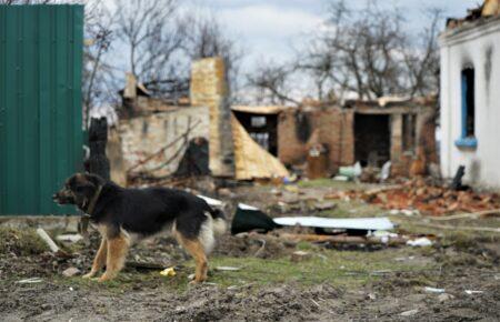 Британія готова відновлювати Київ і область після війни — Зеленський