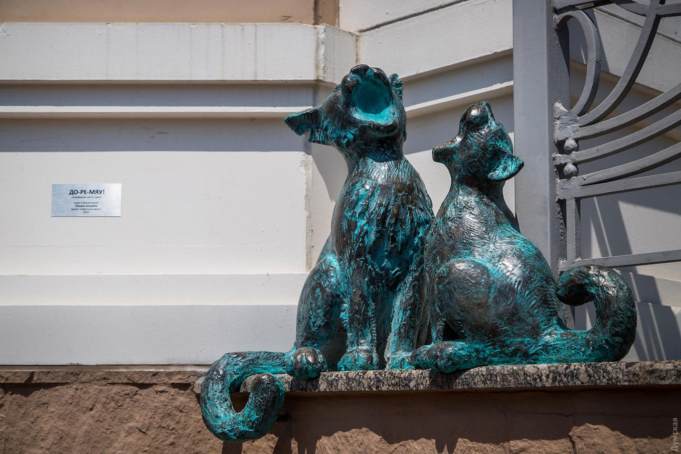 Котів на вулицях поменшало: як живе Одеса під час війни?