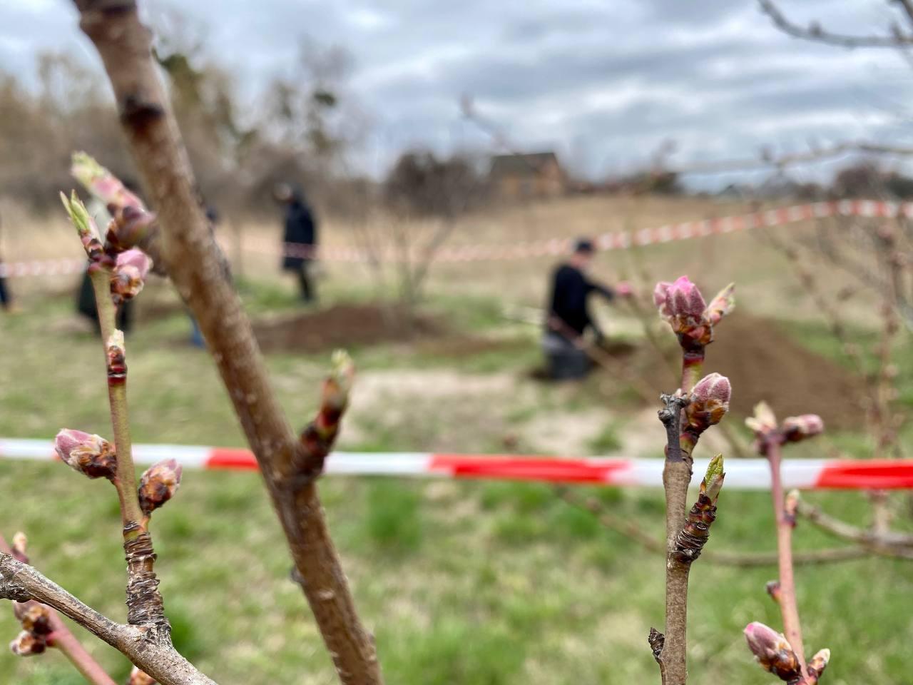 У Бородянці ексгумували тіла 9 людей, серед них 14-річна дитина