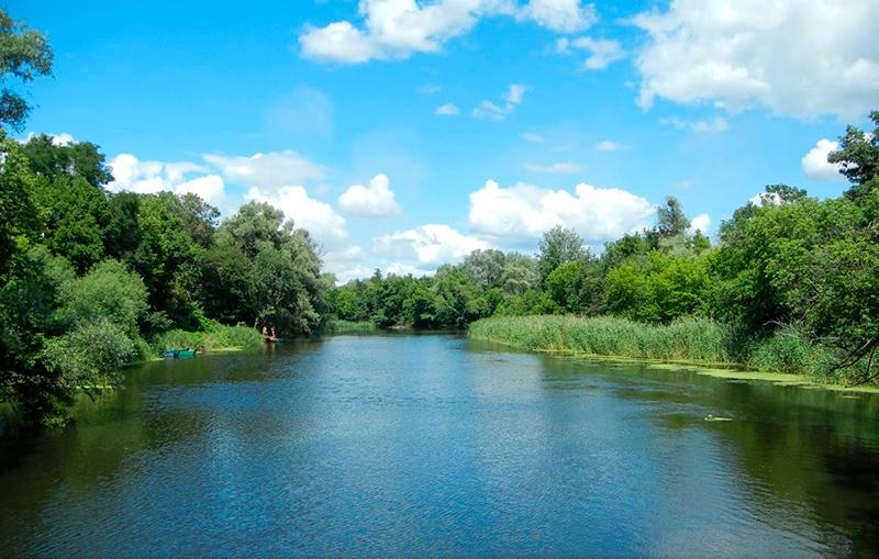 Українські військові втретє розбили росіян при спробі форсувати Сіверський Донець