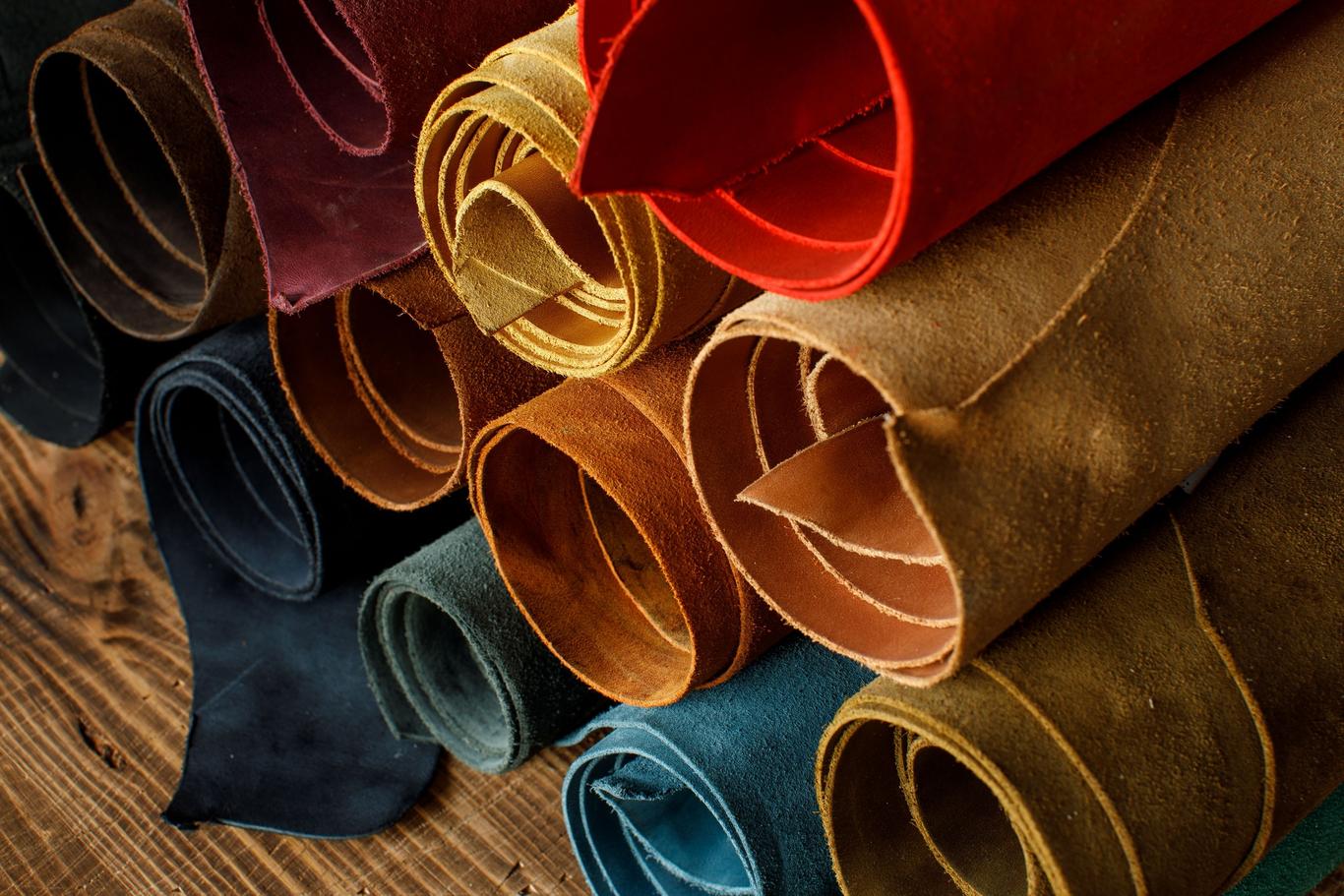 Бахтарма — ваш проводник в удивительный мир кожи