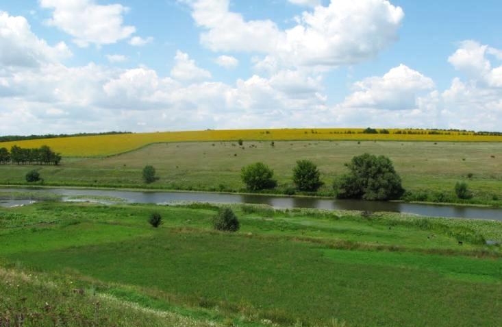 ЗСУ відновили контроль над 5 населеними пунктами на Харківщині — Генштаб