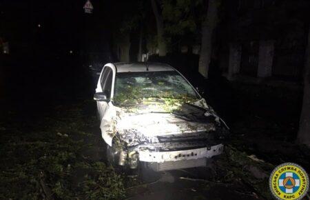 Непогода в Киеве: деревья падали на автомобили и проезжую часть (фото)