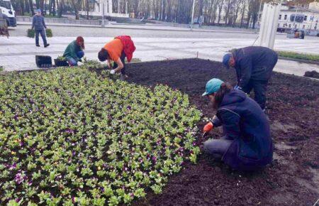 Люди хочуть нормального життя, висаджують квіти: як оживає Харків та звільнені села області