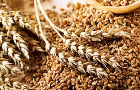 Ukrainian grain will definitely be more expensive and it should be transported through the Baltic countries – analyst