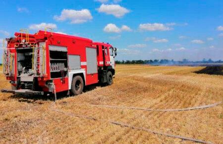 На Миколаївщині через обстріли окупантів згоріло пшеничне поле