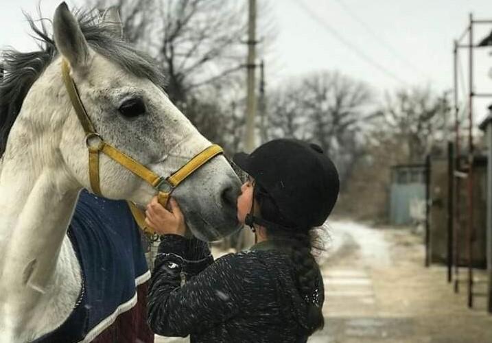 Окупанти живцем спалили коней під Сєвєродонецьком