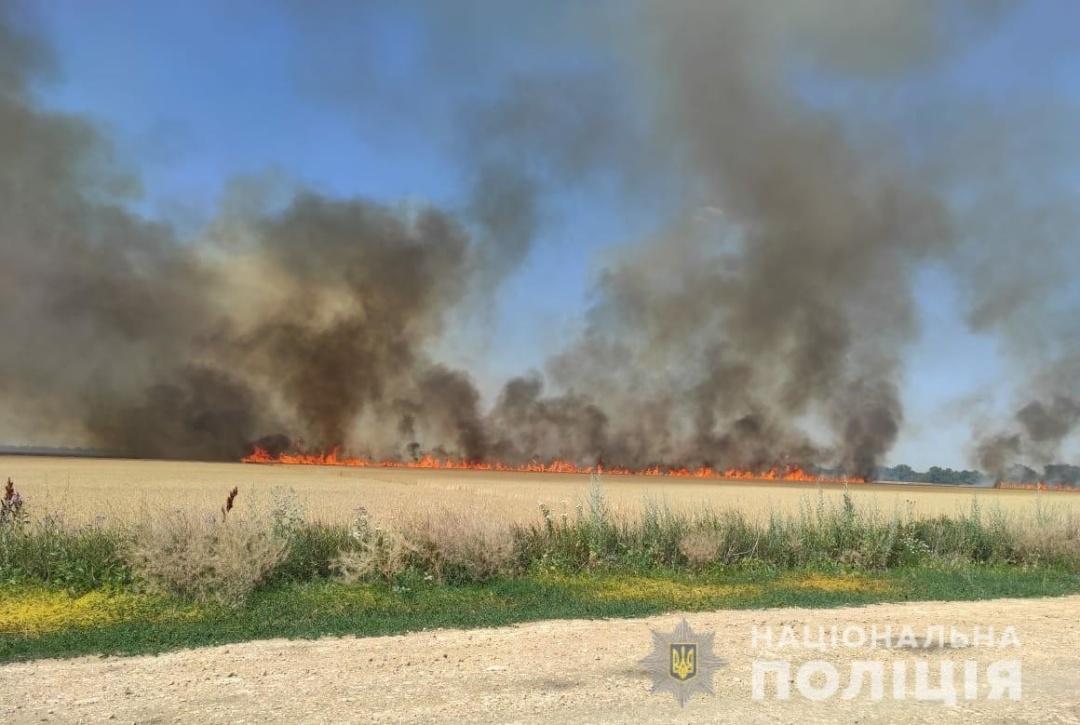 Через агресію РФ 15% аграрного сектору України зруйновано і потребує повного відновлення — економіст