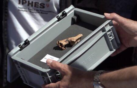 Археологи обнаружили в Испании останки гоминида, которым может быть около 1,4 млн лет