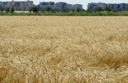 У Маріуполі фермери, які залишились, «віддають» окупантам 100% врожаю — Андрющенко