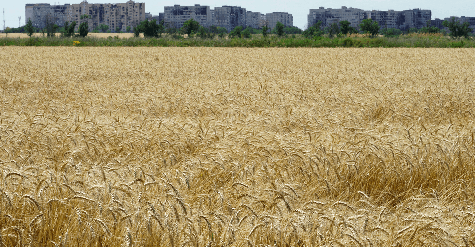 У Маріуполі фермери, які залишились, «віддають» окупантам 100% врожаю — Андрющенко