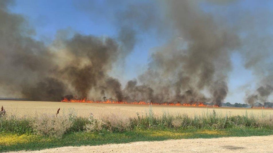 На Херсонщині окупанти знищують врожай