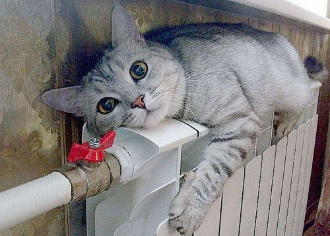 Через нестачу газу опалювальний сезон у Львові не зможуть почати вчасно