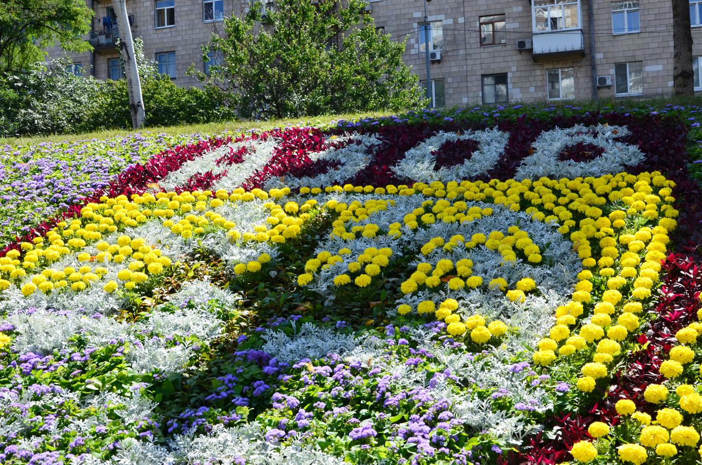 В Киеве создали цветочное панно в честь отдельного отряда спецназначения «Азов» (фото)