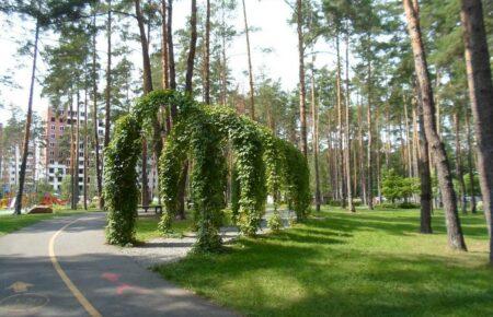 Парки Ирпеня, которые пережили обстрелы: что угрожает им сейчас?