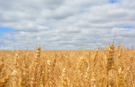 Эта договоренность с Россией была вообще не о зерне: Мария Золкина о переговорах в Стамбуле