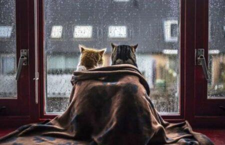 На вихідних очікується мокрий сніг