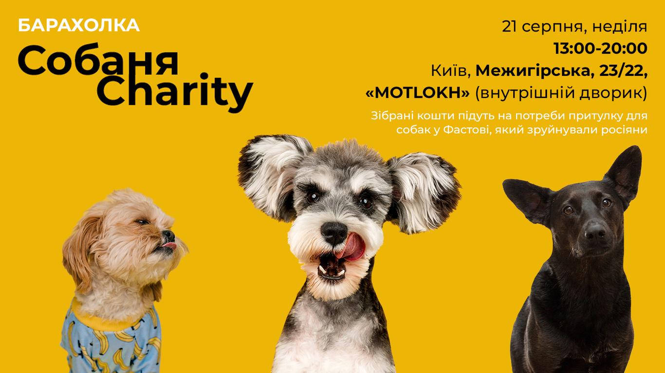 Барахолка «СобаняCharity»: цієї неділі у Києві збиратимуть кошти на допомогу собачому притулку у Фастові