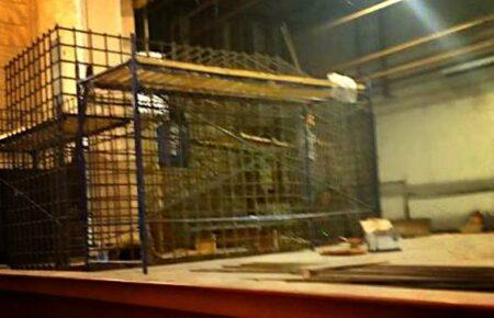 Пушилин заявил, что слова Зеленского не повлияют на планы провести «трибунал» над украинскими военными