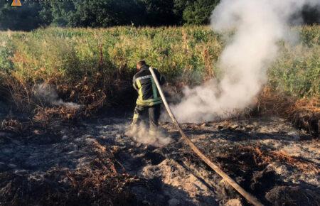 Задимленість у Києві утримуватиметься 5-6 вересня — КМДА