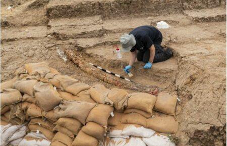Археологи відкопали гігантський бивень стародавнього слона (фото)