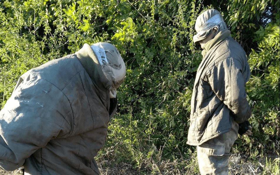 Під час контрнаступу ЗСУ взяли в полон сотні окупантів — Зеленський