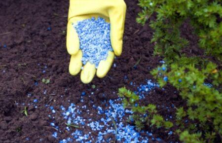 Всесвітня Продовольча програма ООН зафрахтувала перше судно, яке перевезе російські добрива в Африку