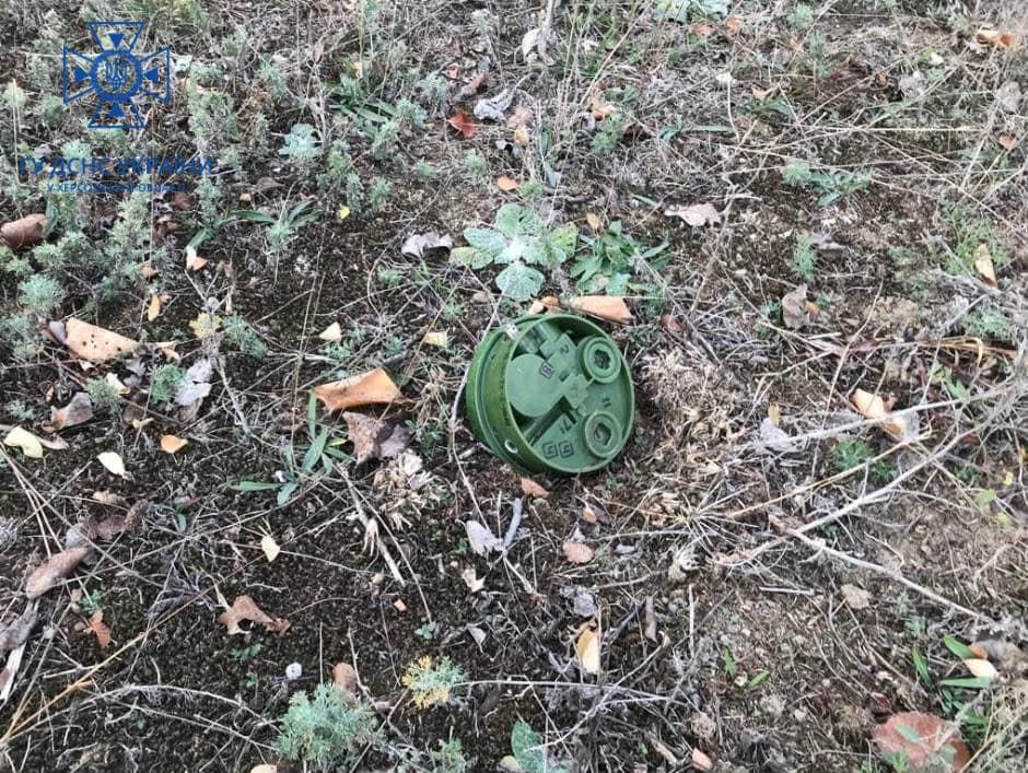 На Херсонщині на міні підірвався електрик