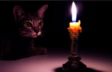 Сьогодні у Києві та восьми областях планові відключення світла