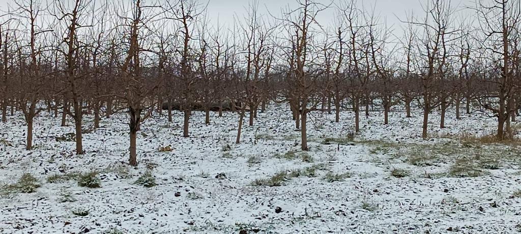Під час масованого удару по Україні в Молдові впала ракета: реакція МЗС