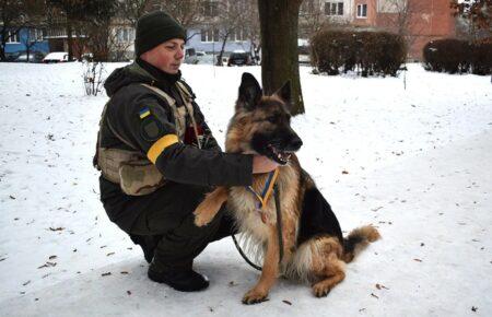 Вівчарку Ніку, яка служить у Нацгвардії, нагородили медаллю за розшук дитини (ФОТО)