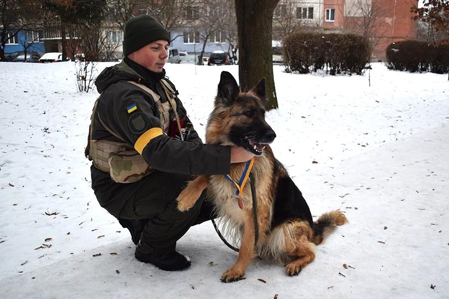 Вівчарку Ніку, яка служить у Нацгвардії, нагородили медаллю за розшук дитини (ФОТО)