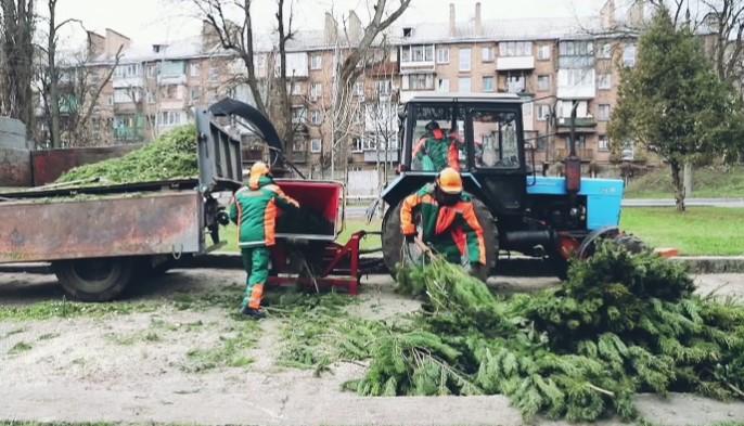 У Києві пункти утилізації новорічних ялинок працюватимуть до кінця січня